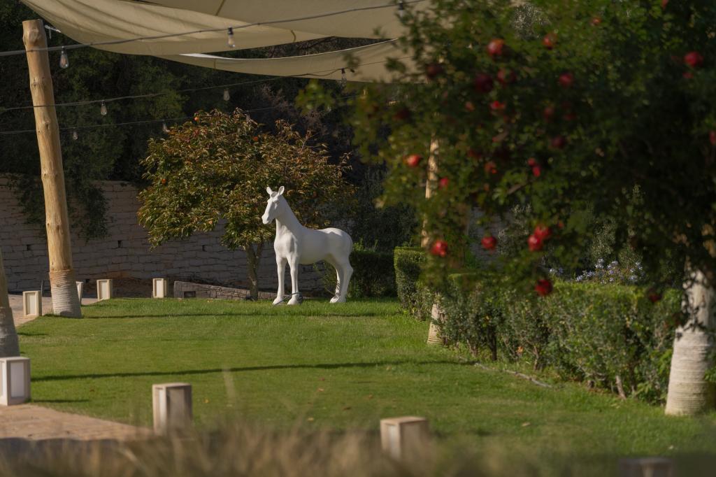 Album Image  #135413