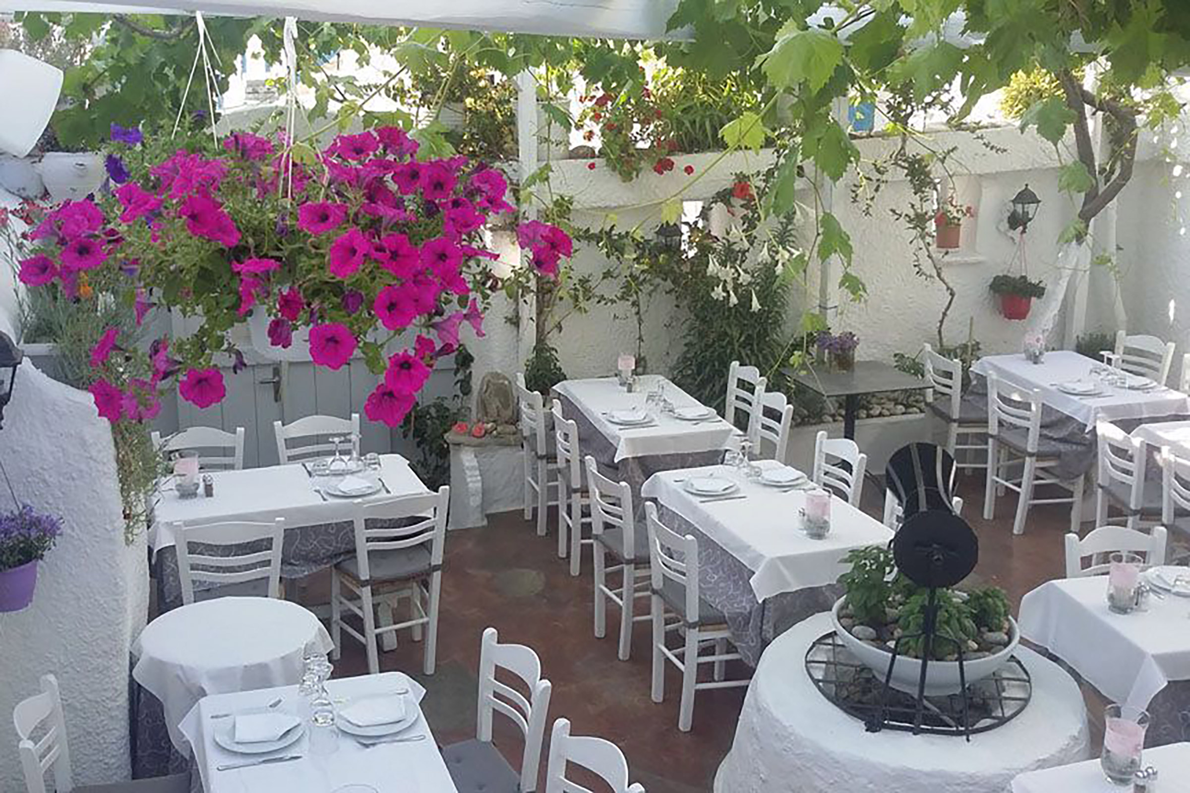 A “secret” garden full of flowers and roofed with vine leaves for total privacy, a large table on the street for a direct Mykonos Town feeling, an indoor air-conditioned large dining hall for ultra-hot summer nights and a beautiful veranda for candle-lit diners under the stars. - Secondary Image