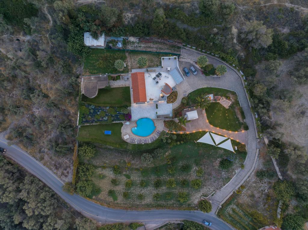 Album Image  #134952