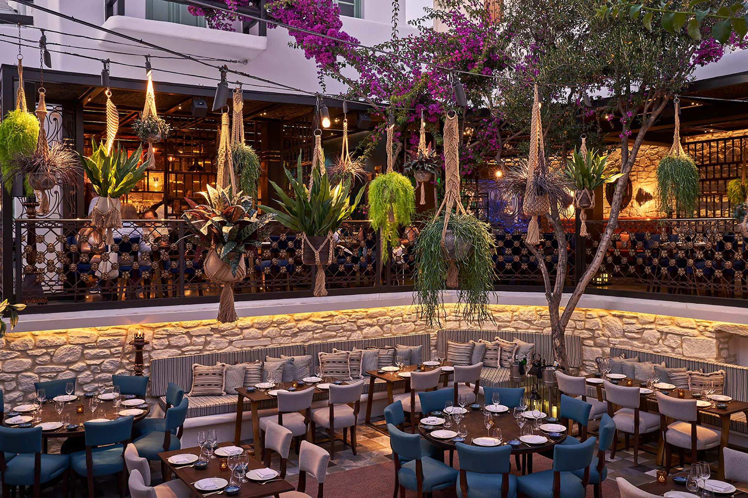 To see and be seen! - Secondary Image