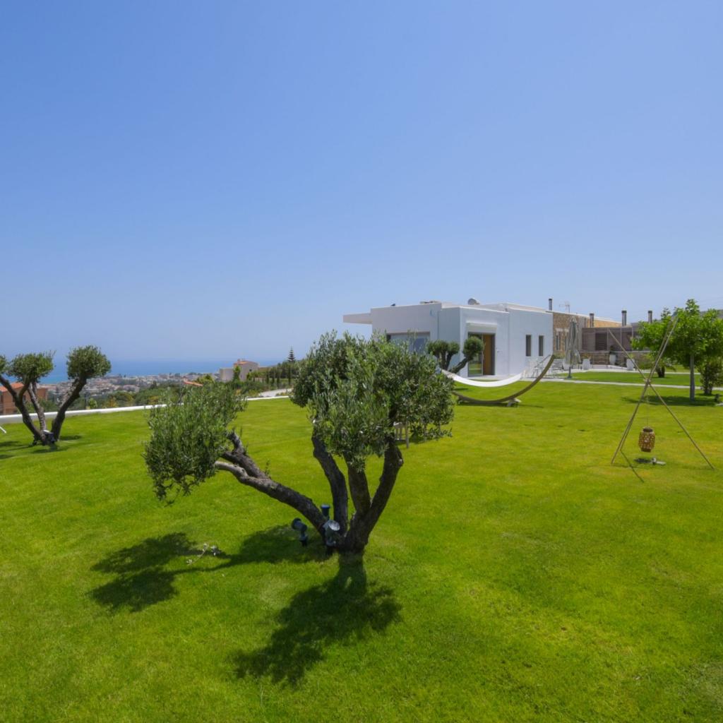 Events Patio - Garden