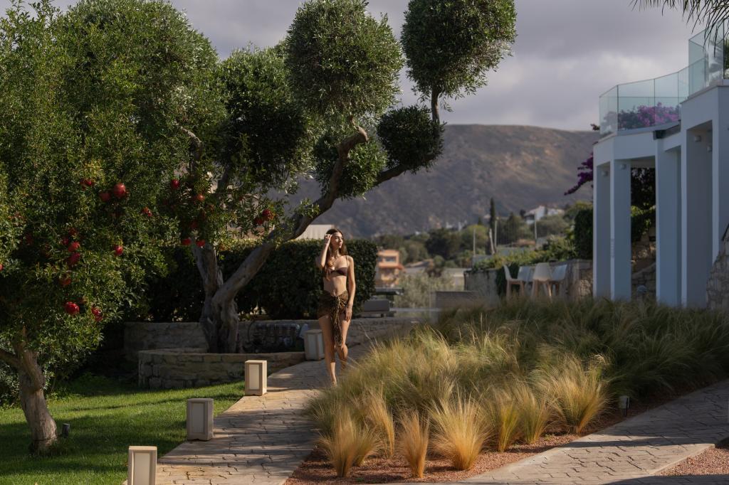 Album Image  #135358