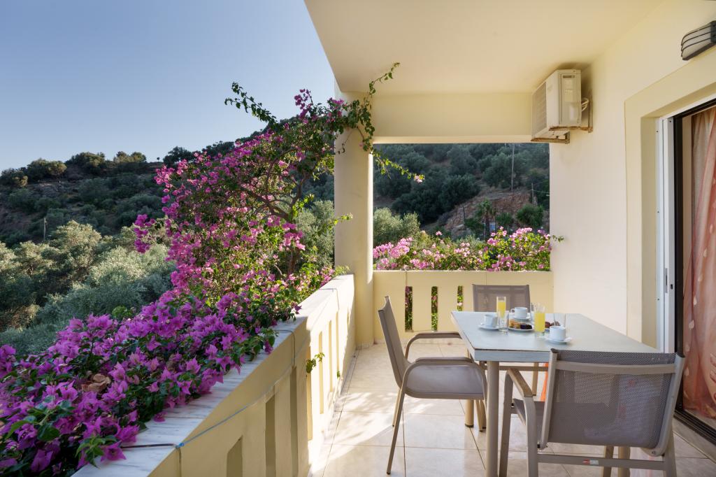 Album Image  #135316