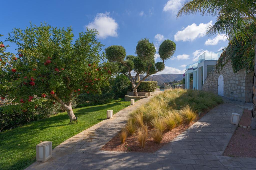 Album Image  #134988