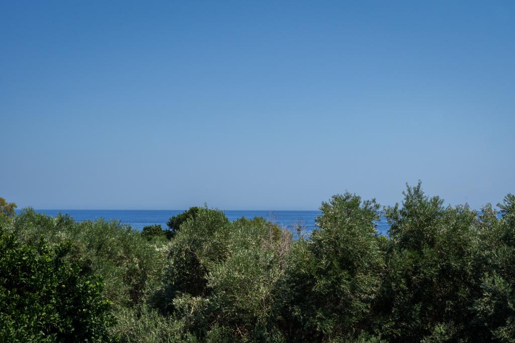 Album Image  #135086