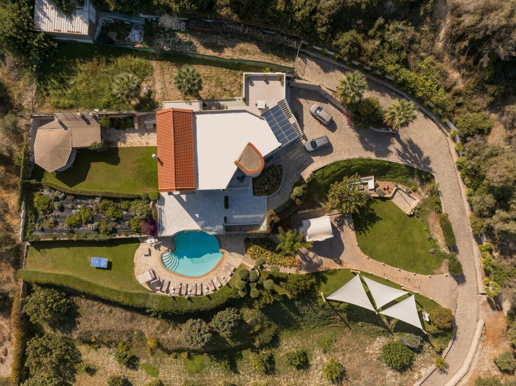 Album Image  #134641