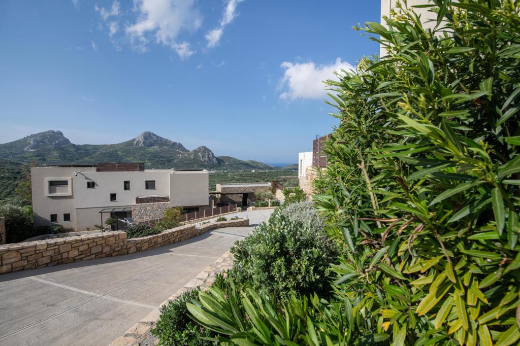 Album Image  #127487