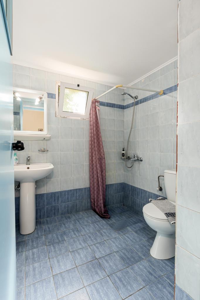 Album Image  #135338