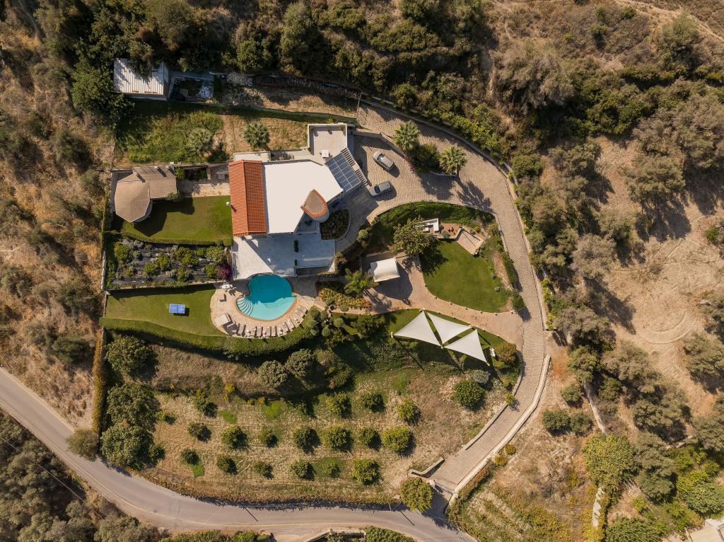 Album Image  #134640