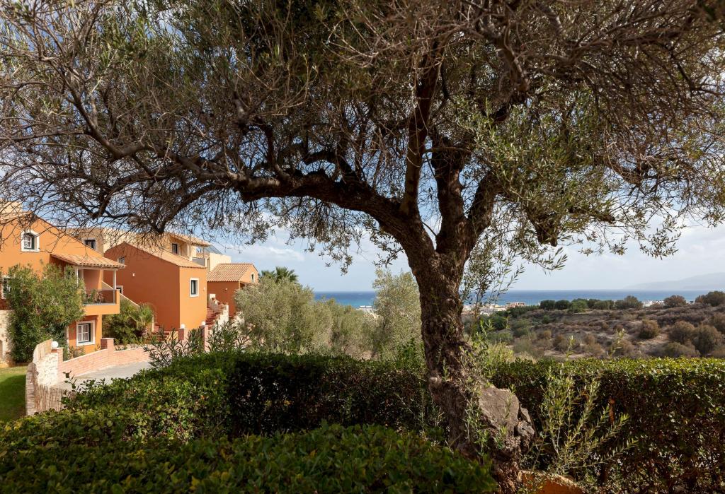 Album Image  #133510