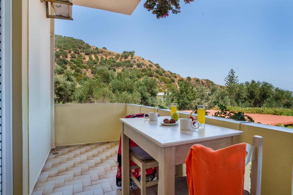 Album Image  #135341