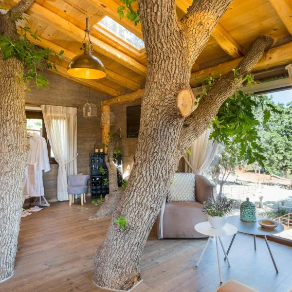 Kitchen & Living Room - The treehouse is fully equipped