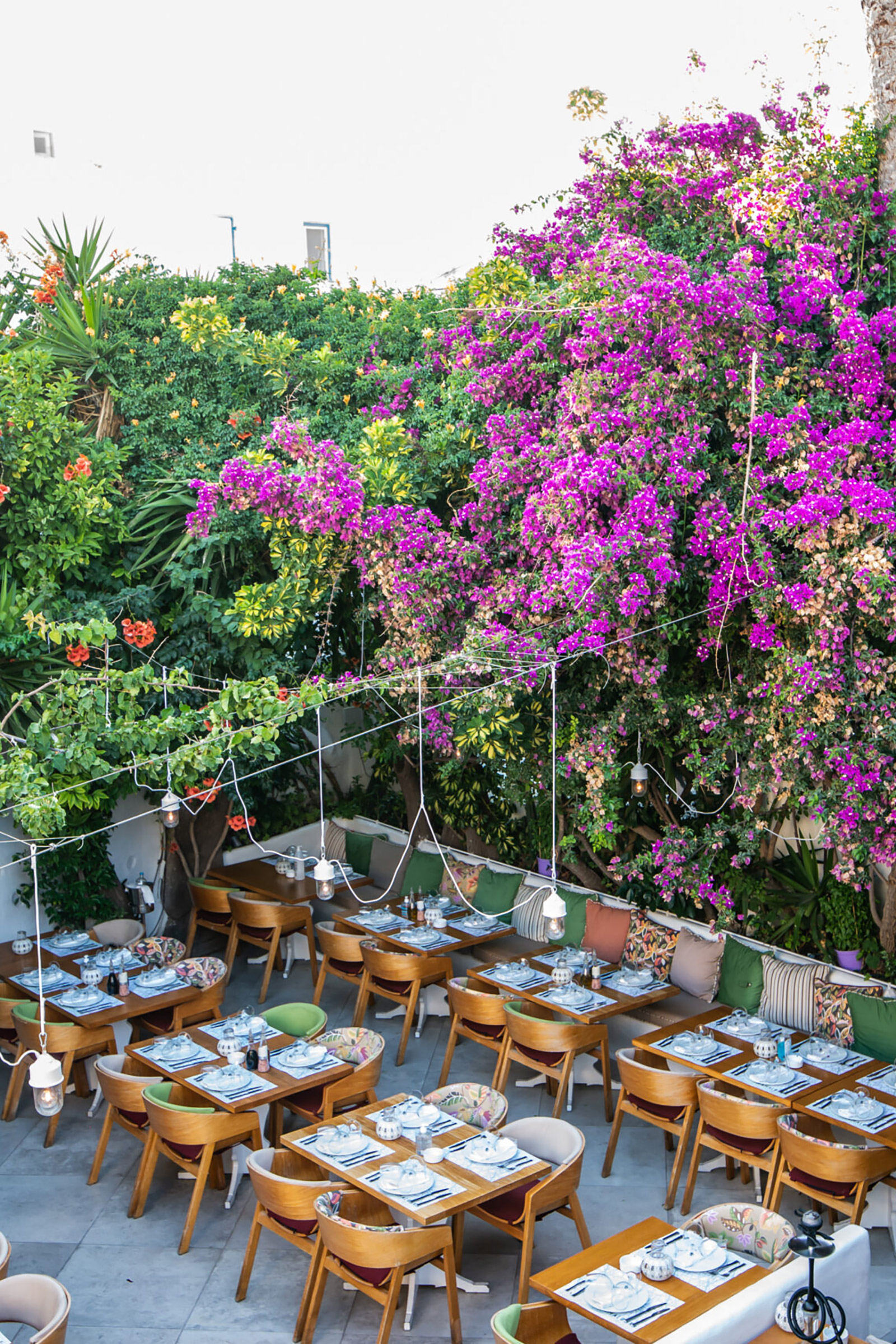The giant mauve bougainvillea and the lush vegetation, the colourful cocktails and the refined dishes, the cool vibes and the uplifting music create a unique atmosphere in a beautiful yard “hidden” just a breath away from the ultra-popular area of Little Venice. - Image