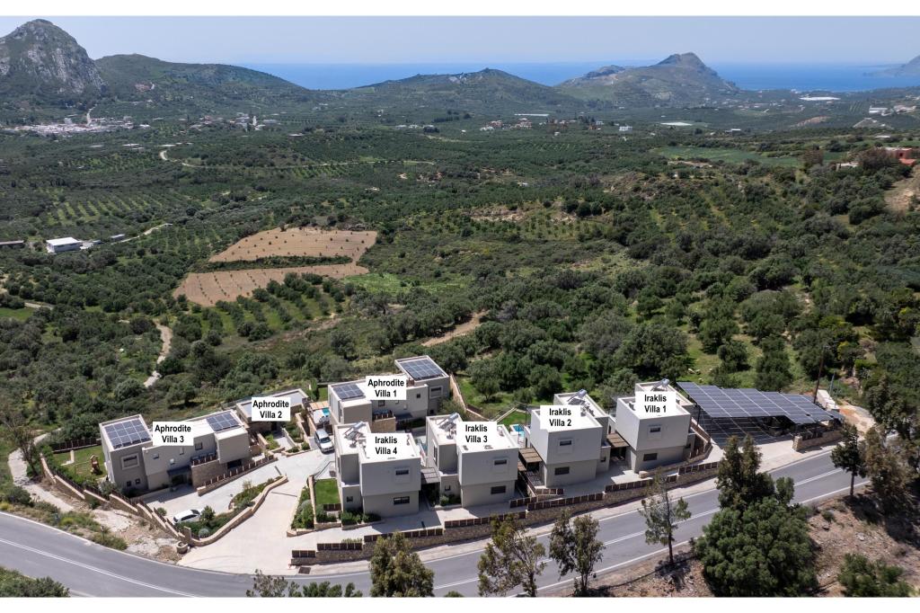 Album Image  #127485