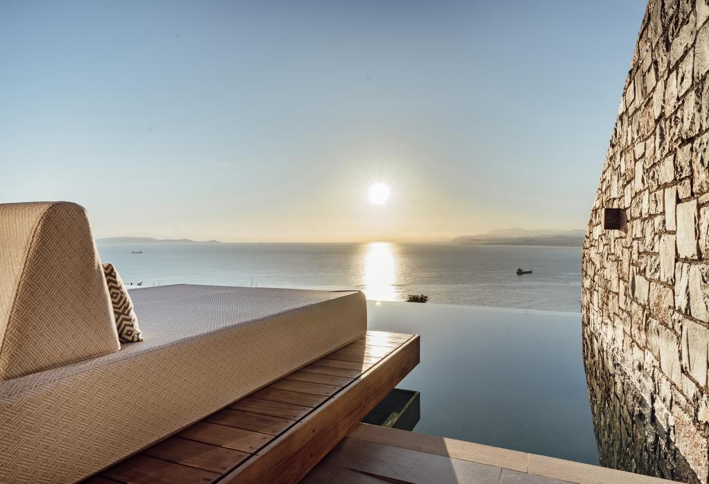 Malvezzino Victoria Guidelines