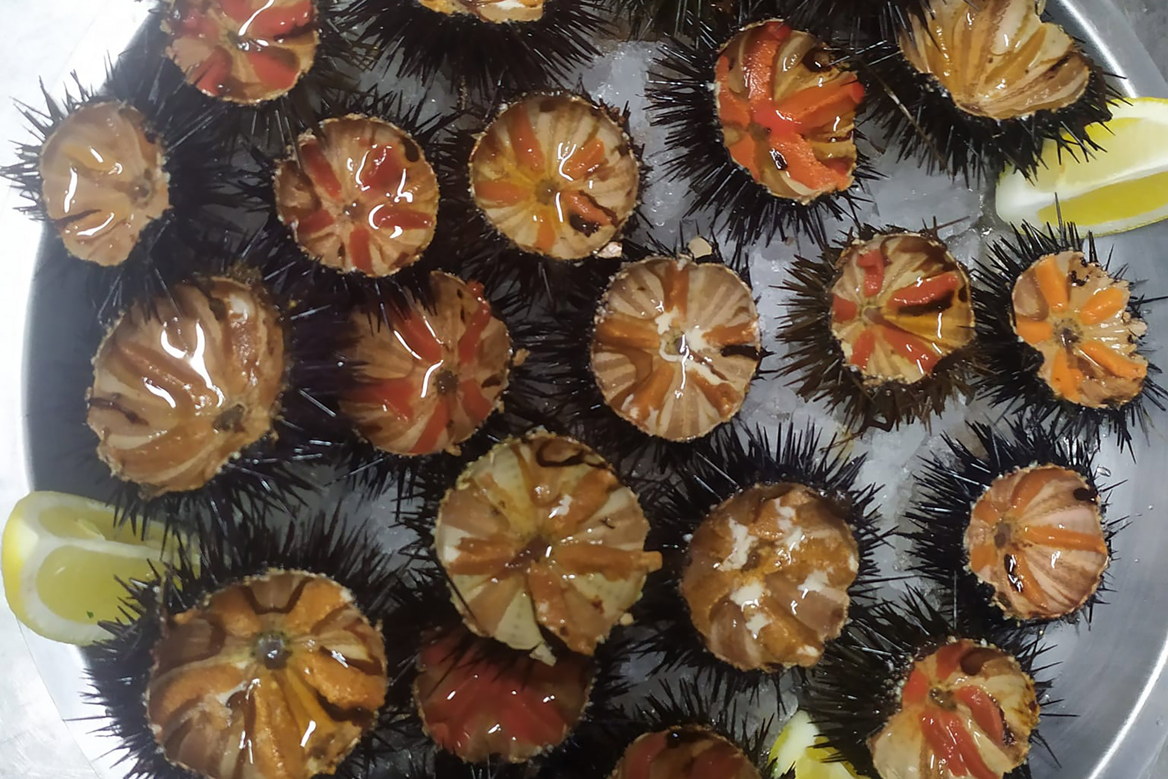 Pure and authentic Greek flavours, the freshest of fish and seafood and some very traditional local dishes are the key point here, with the produce that goes into the kitchen coming from all over Greece, from Mykonos and Naxos to Ikaria and Fournous and from Crete and Chalkida to Syros and Samos. - Secondary Image