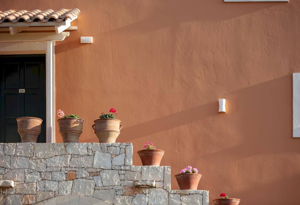 Album Image  #133488