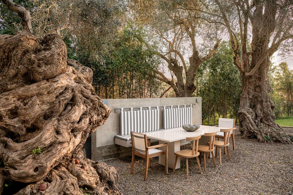 Album Image  #134506