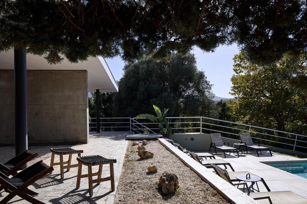 Album Image  #134516