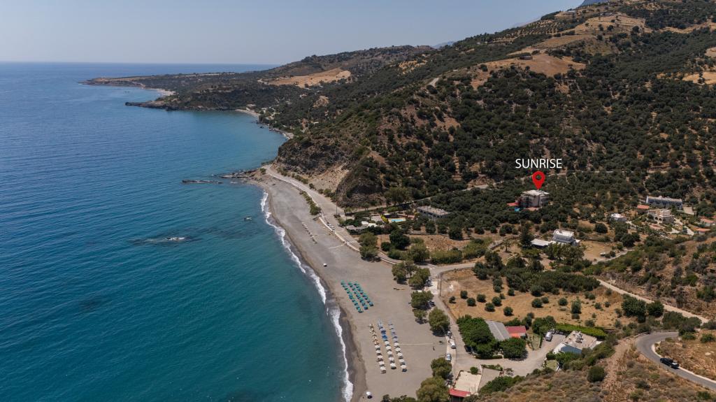 Album Image  #135038