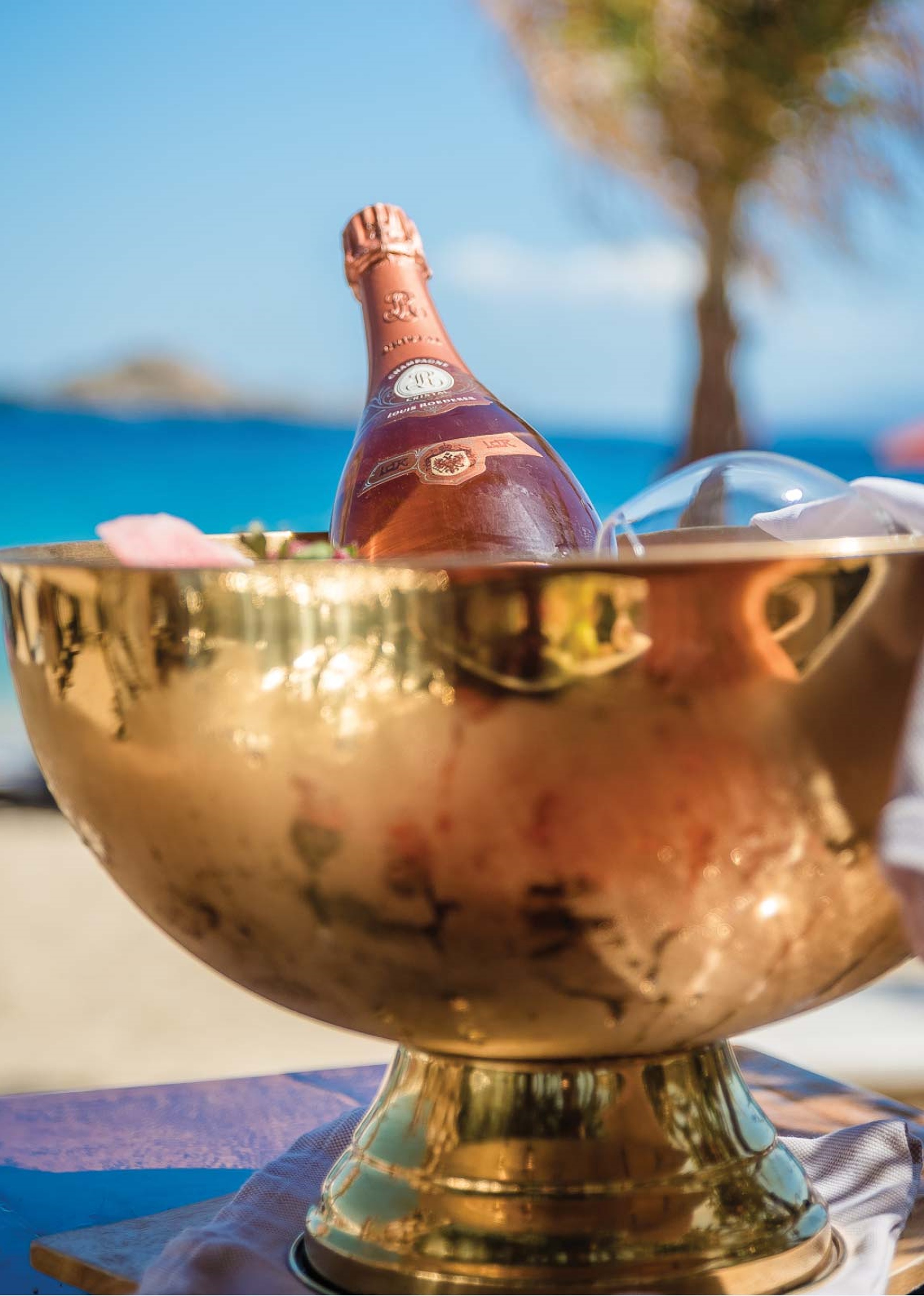 I NEED A SUNBED & - Image