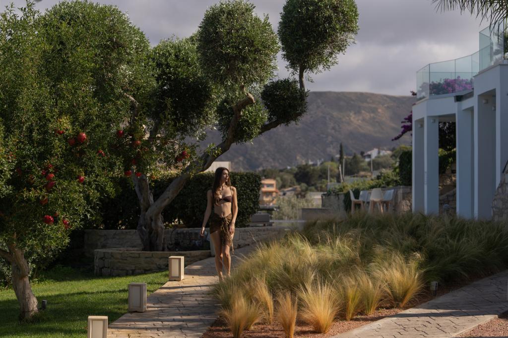 Album Image  #134970