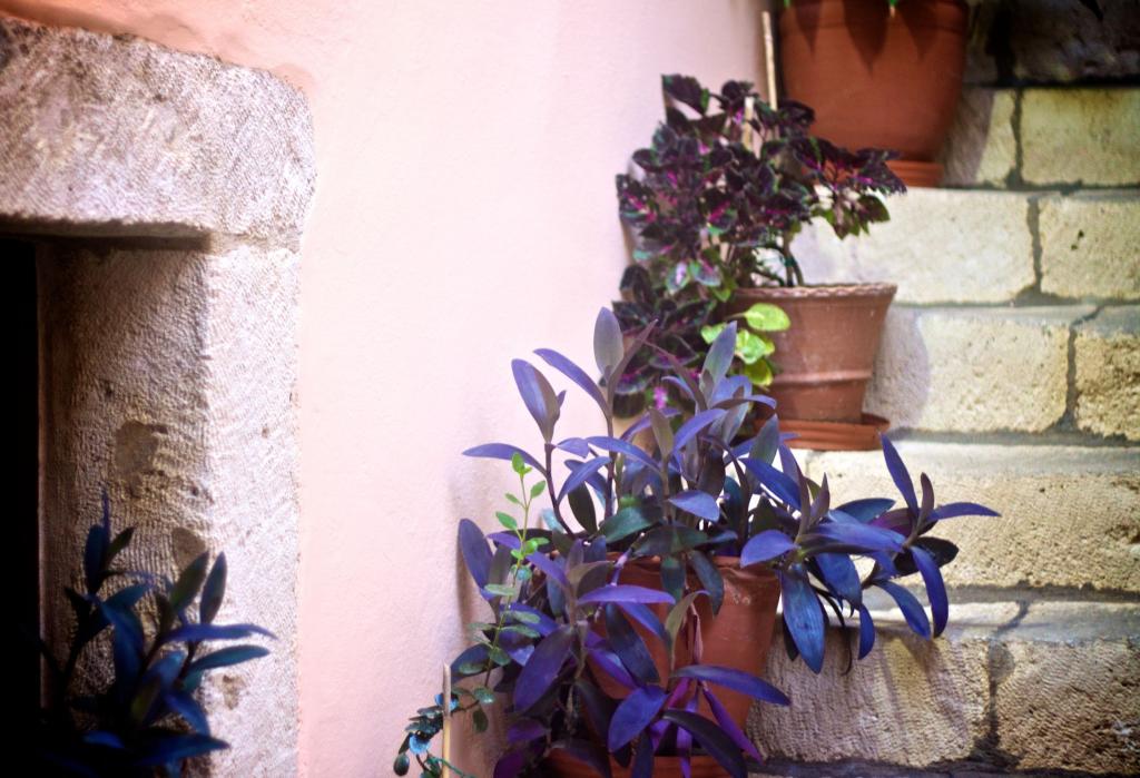 Accommodation – Pre-opening