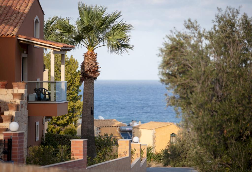 Album Image  #133536