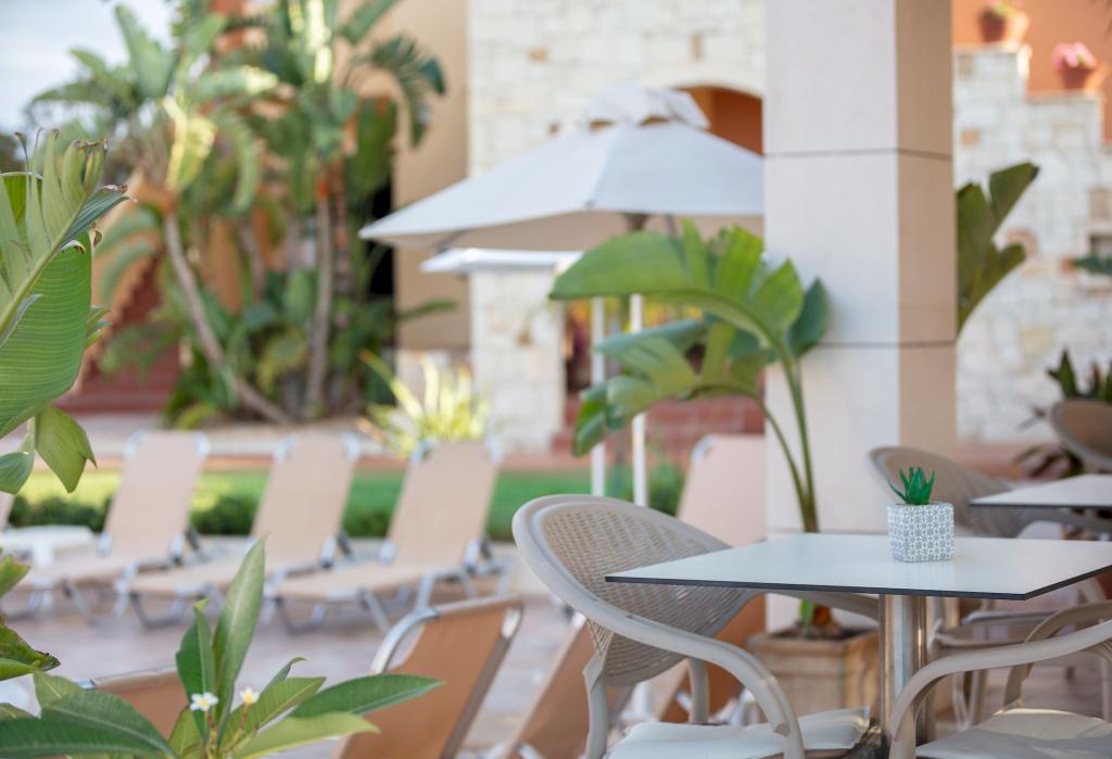 Album Image  #133487