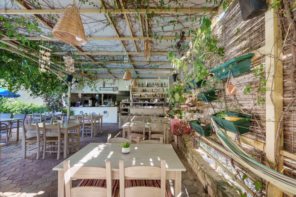 Album Image  #135053