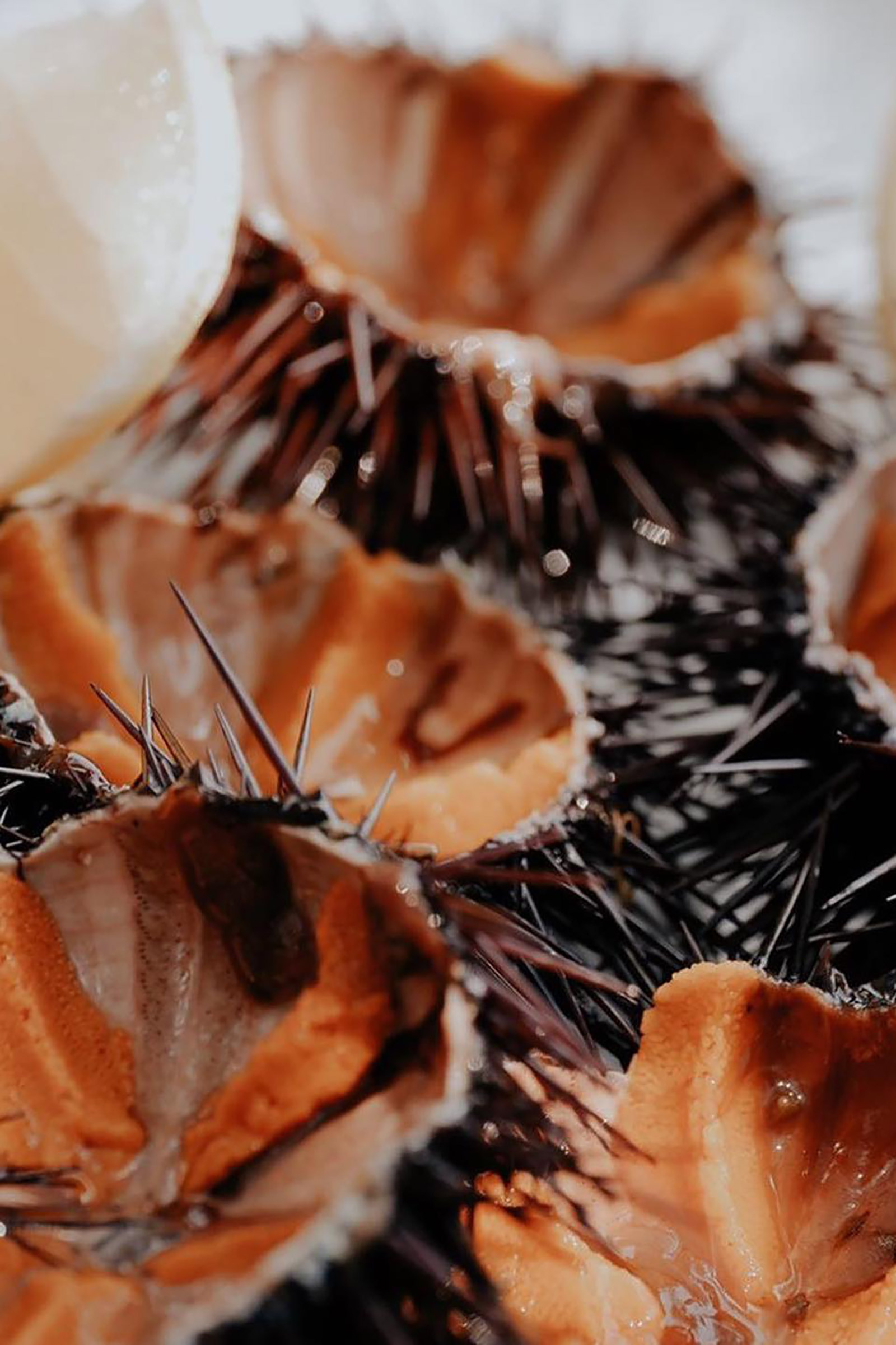 Literally hanging over the sea, here you will savour creative Mediterranean & Mykonian creations made with the freshest ingredients, coming directly from the sea, while your oysters, mussels, urchins, crayfish and lobsters wait for your order in a small natural sea pool, to be prepared before your eyes and transformed into mouth-watering delicacies and eye-catching dishes. - Image