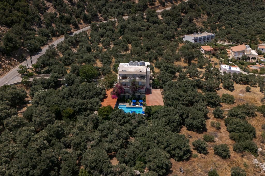 Album Image  #135040