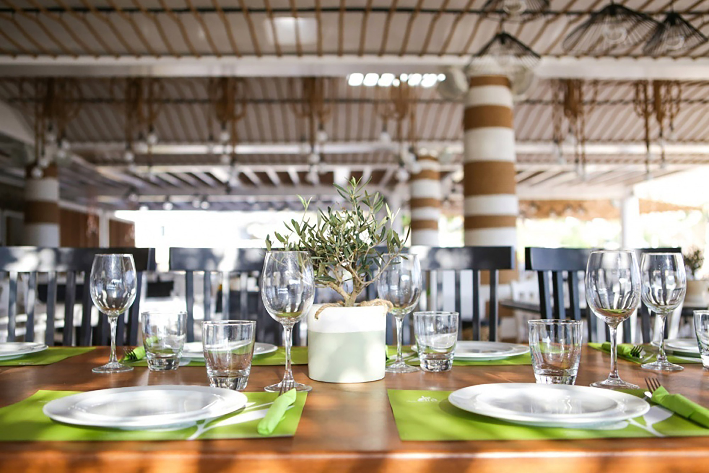 Can you think of a better way to taste the famous Greek summer on your plate? In the refined space of Elia Beach Restaurant traditional culinary ways meet contemporary twists and techniques, delivering an inspired Mediterranean cuisine that is as good for the palate as it is for the eye. - Secondary Image