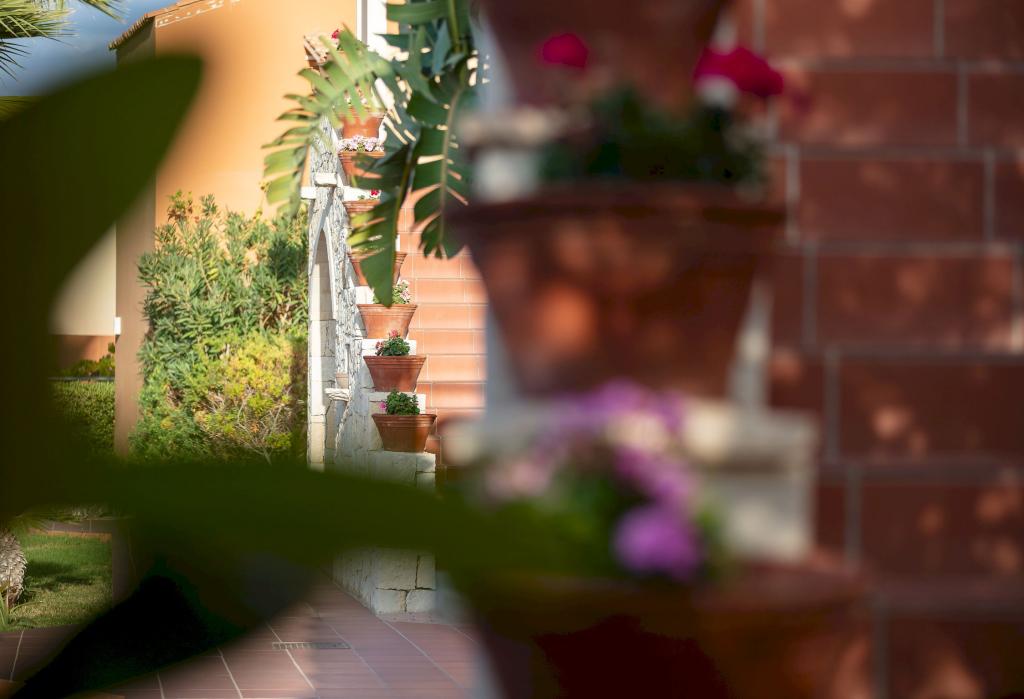 Album Image  #133491