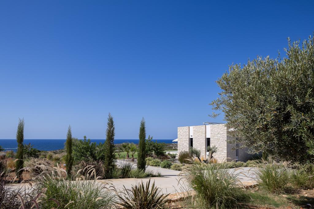 Album Image  #132809