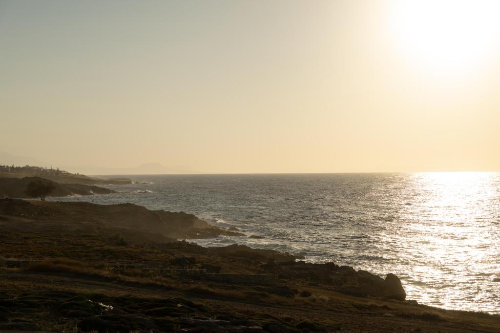 Album Image  #131501