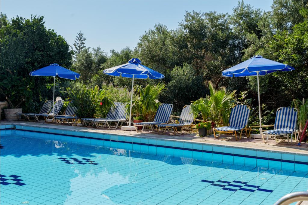 Album Image  #135051