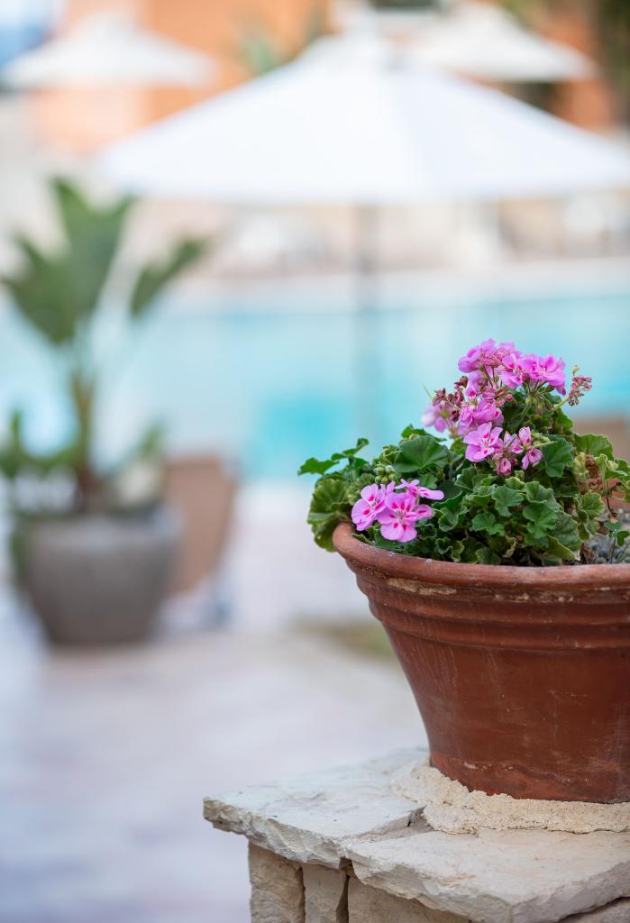 Album Image  #133513