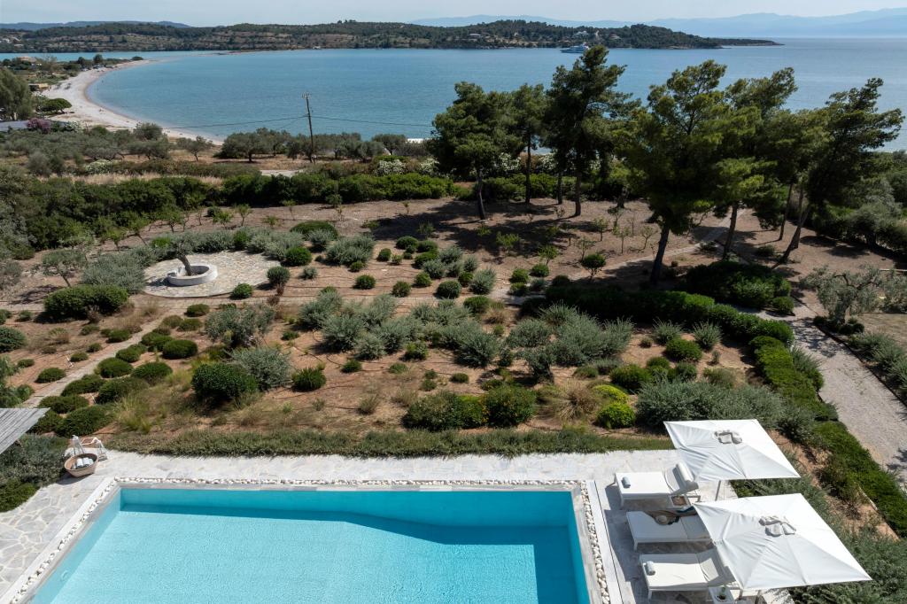 Album Image  #128778