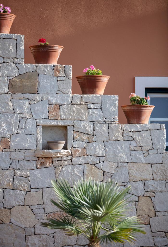 Album Image  #133518