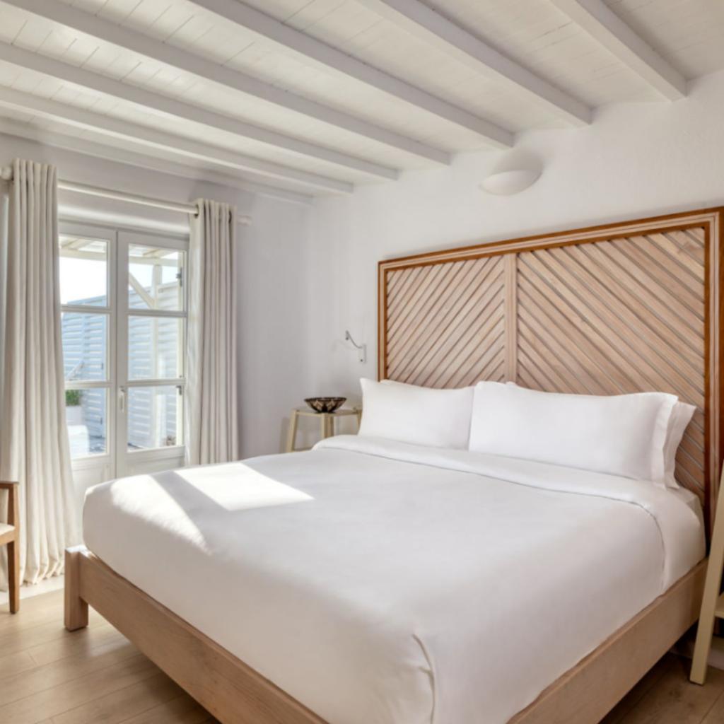 Coral at Santa Marina