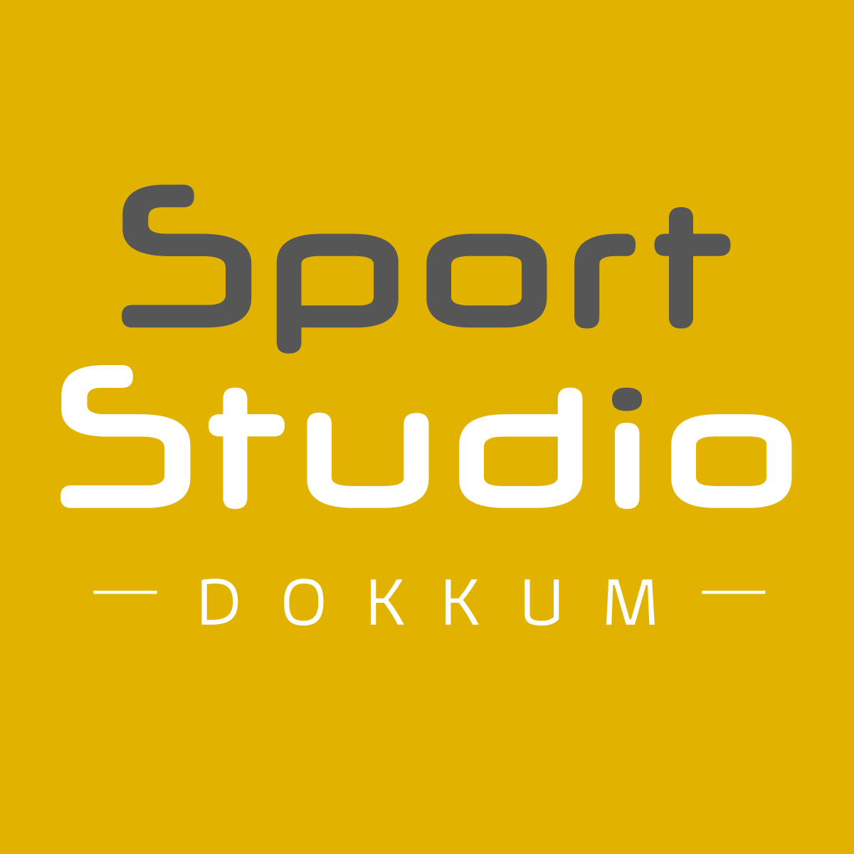 SportStudio Dokkum logo