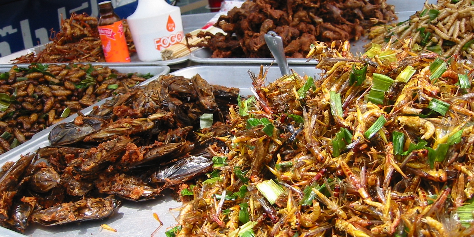 Why Eat Insects It s The Other Alt meat Makery