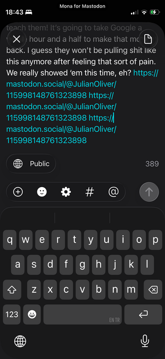 Screenshot of recent post being edited showing URL repeated four times at the end.
