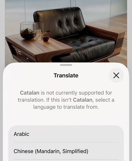 Screenshot of attempt to translate social media post (with an amazing black leather and wood chair with integrated side table) using native iOS functionality:

Translate
Catalan is not currently supported for translation. If this isn't Catalan, select a language to translate from.
Arabic
Chinese (Mandarin, Simplified)
…