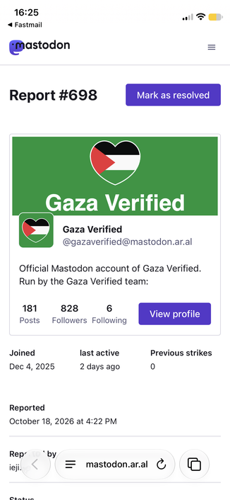 Screenshot of report I received about Gaza Verified (top of report)