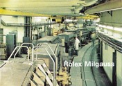 ROLEX-MILGAUSS-CATALOGUE-1965-ITALIAN