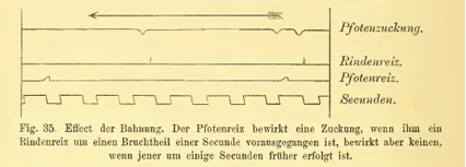 Sigmund Exner - Effect der Bahnung