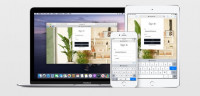 safari