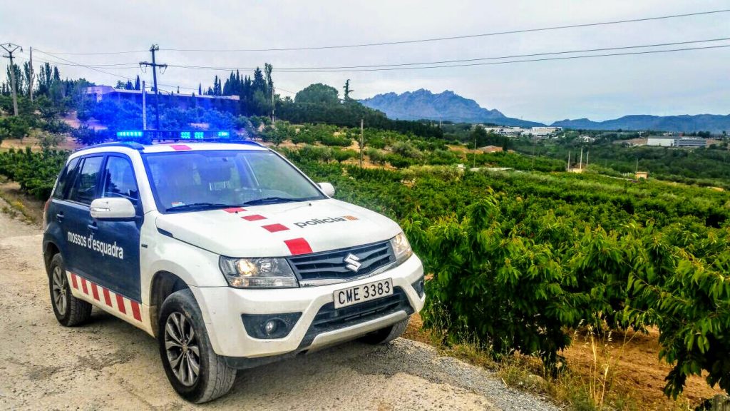 Campanya de la fruita dolça dels Mossos d'Esquadra